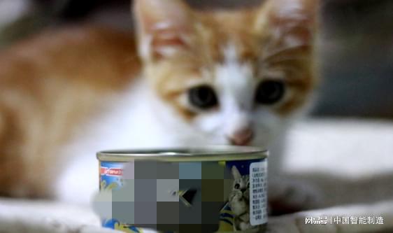 它經濟風起，國產寵物食品品牌陣營持續壯大